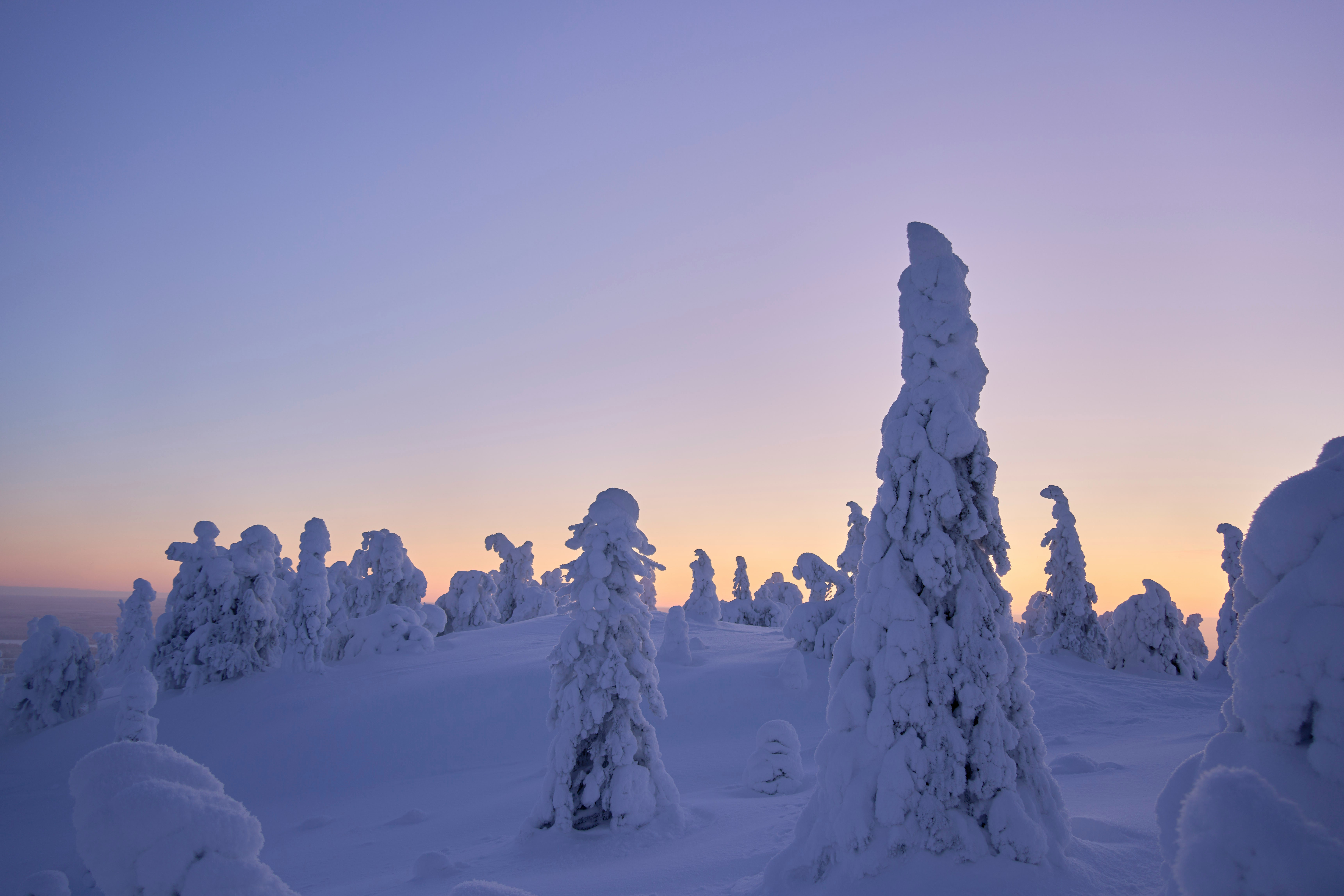 终章及序幕—2025年终总结