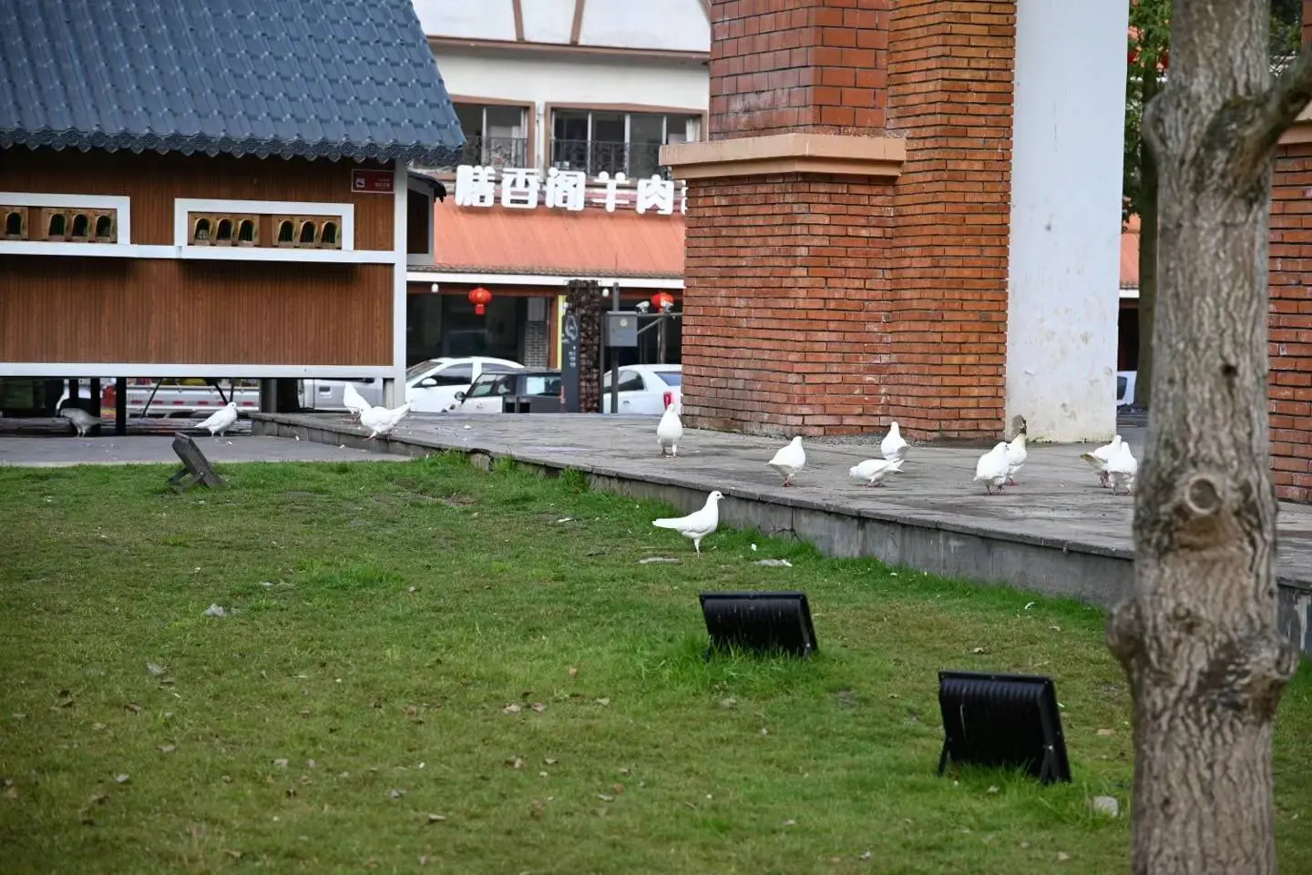 花水湾